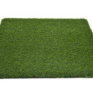 Nevada Pro Putt
