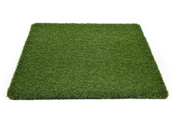 Nevada Pro Putt