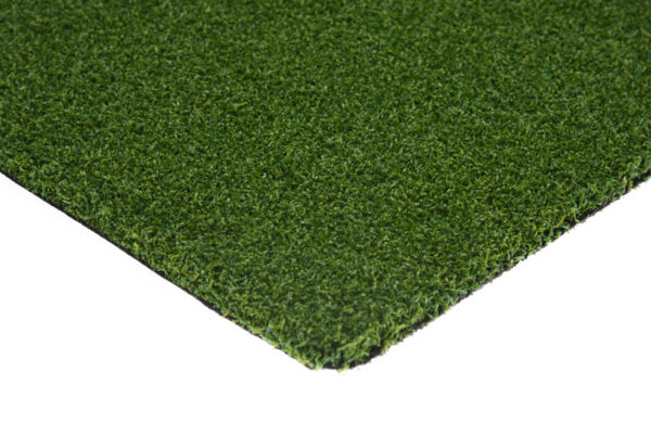 Nevada Pro Putt - Image 4