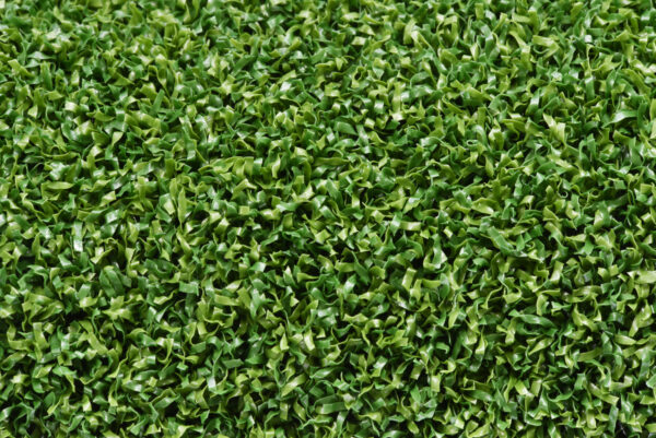 Nevada Pro Putt - Image 5