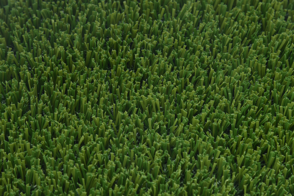 Pet Turf - Image 5